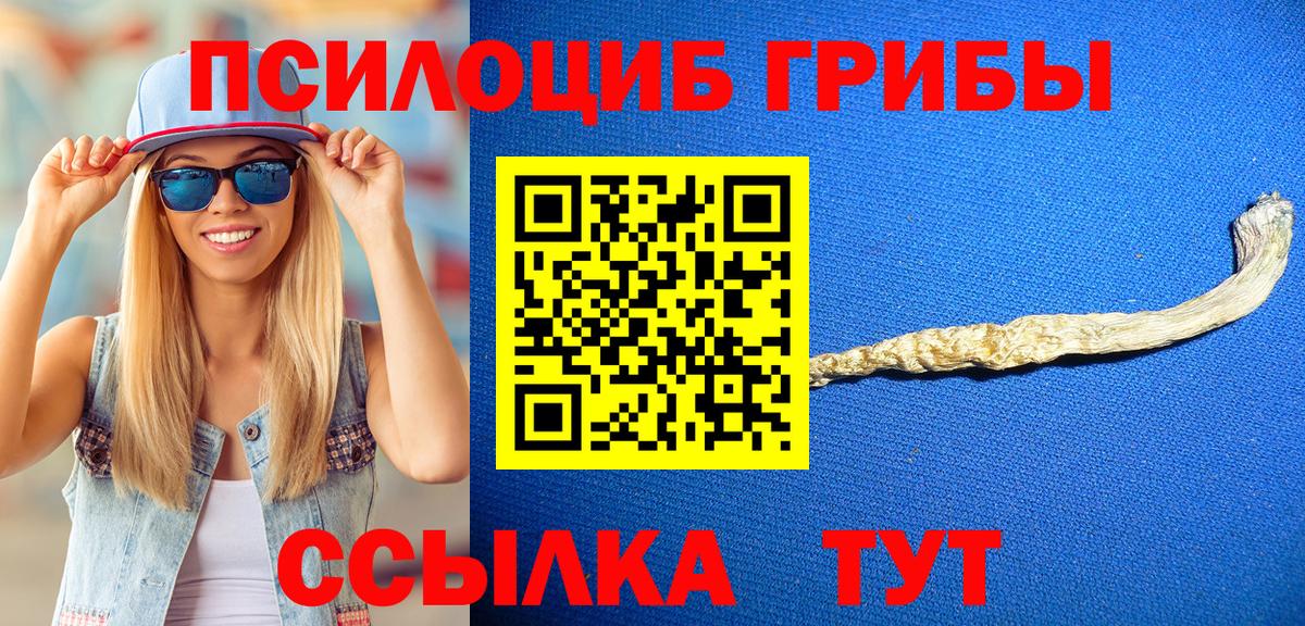 Псилоцибиновые грибы GOLDEN TEACHER Вязники