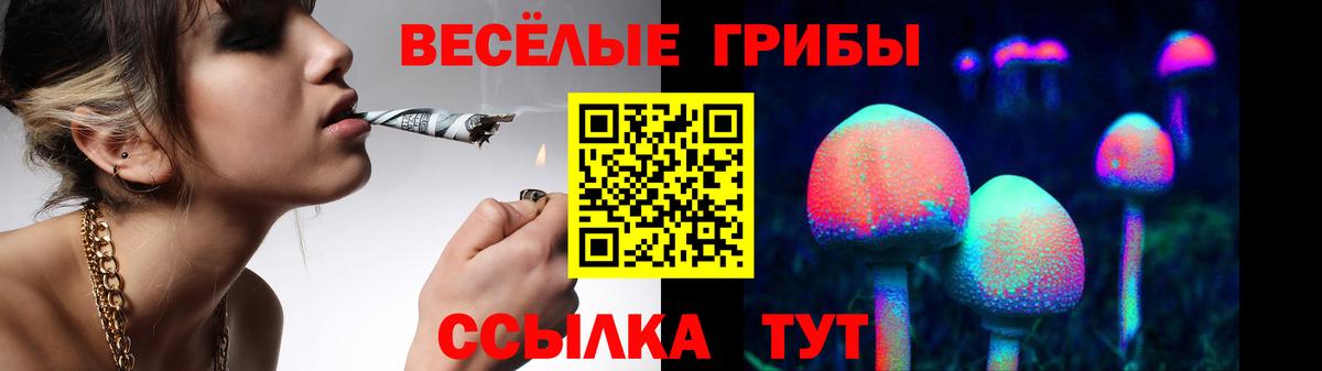 Вязники  Псилоцибиновые грибы GOLDEN TEACHER  закладки  Вход с VPN 